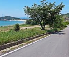 청산도 배편 예약