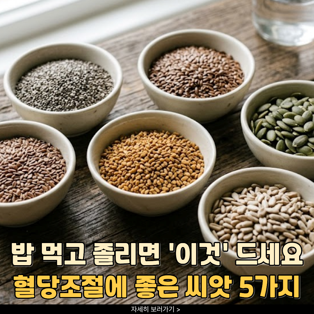혈당조절에-좋은-씨앗-5가지
