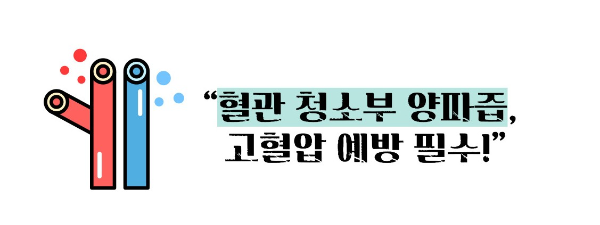 양파즙 효능 고혈압