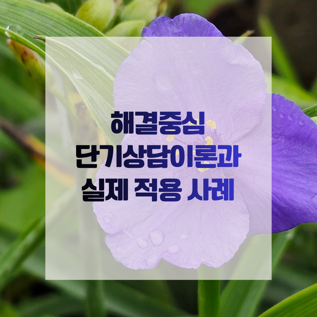 해결중심 단기상담이론과 실제 적용 사례