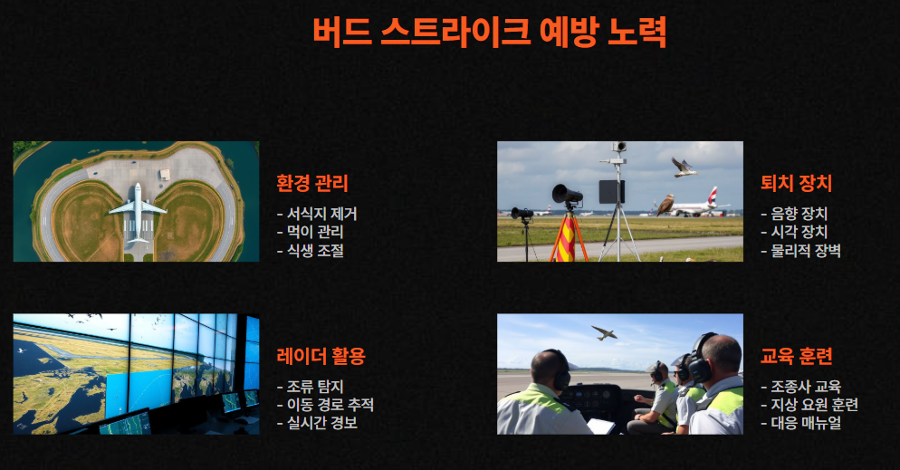 버드 스트라이크 예방 노력