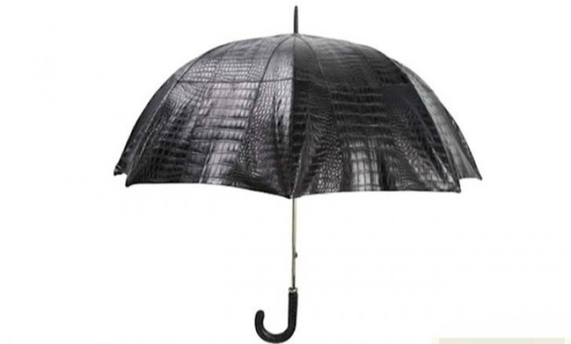 가장 비싼 우산