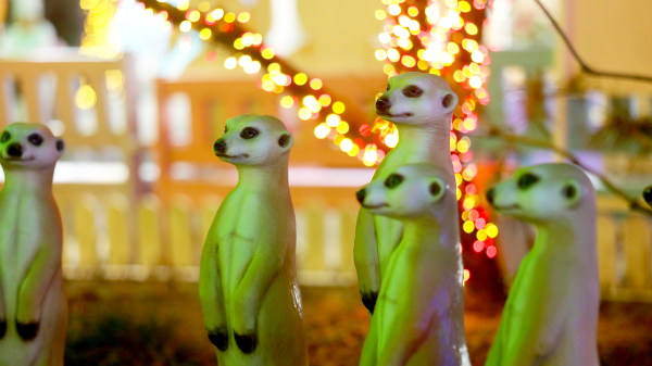 2023 안산별빛마을 애니멀 & 하트빌리지 빛축제