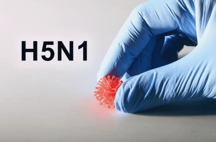 조류인플루엔자1