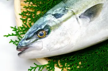 방어 가격 및 효능, 영양성분과 주의점