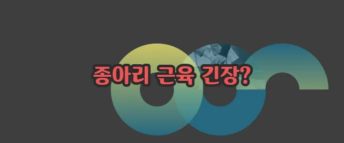 종아리 쥐나는 이유 한번 정확하게 알아보도록 하죠