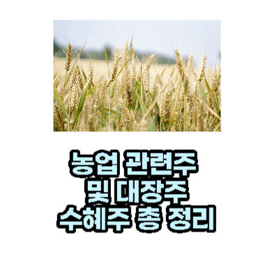 썹네일-사진