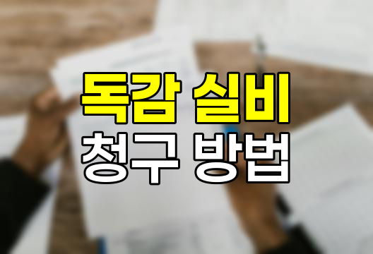독감 실비 청구, 절차와 주의사항