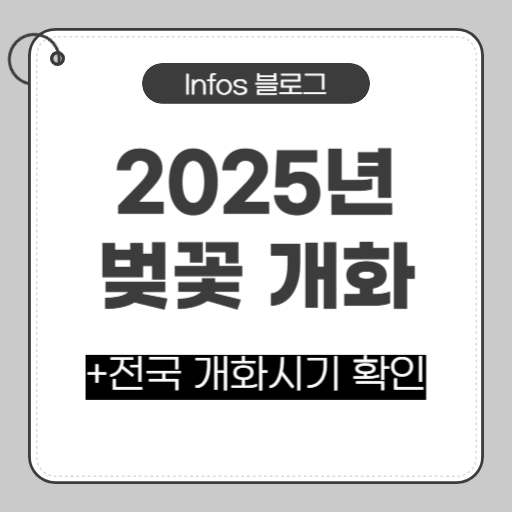2025년 벚꽃 개화시기 지도 확인 방법(feat. 전국)