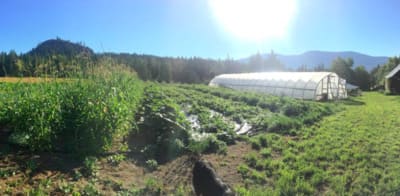 2024 공익직불금