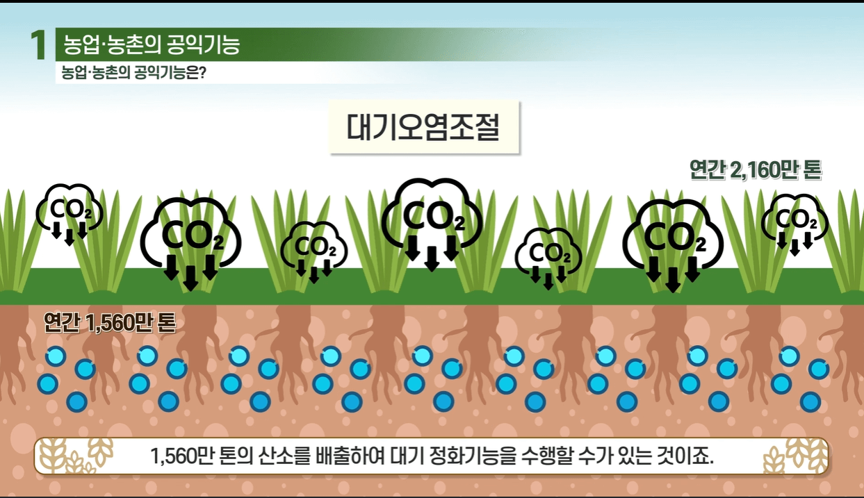 교육-영상