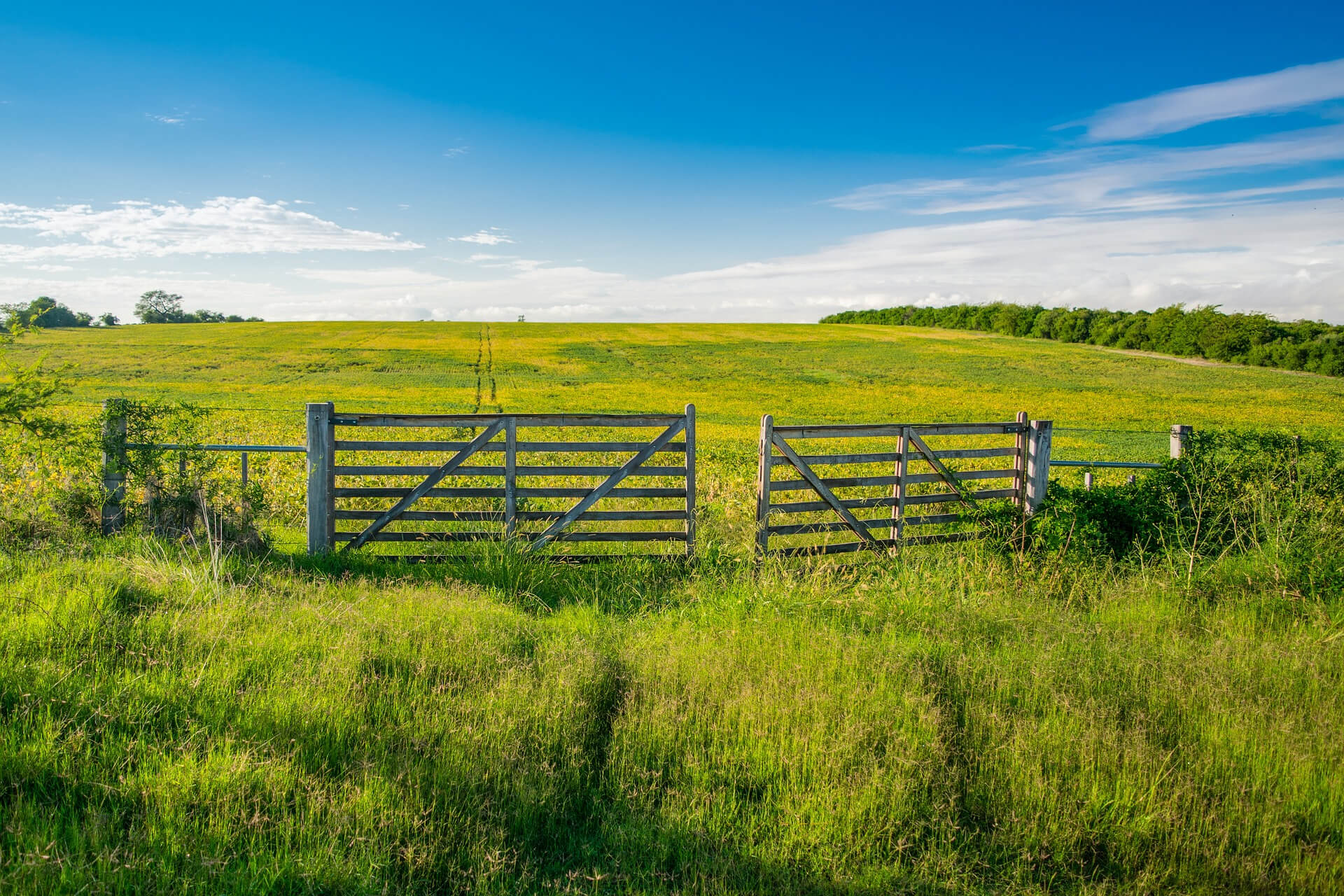 우루과이 축산업
