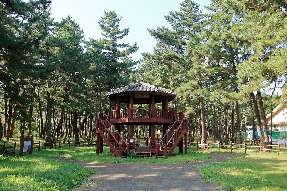 동해시 망상 오토캠핑리조트