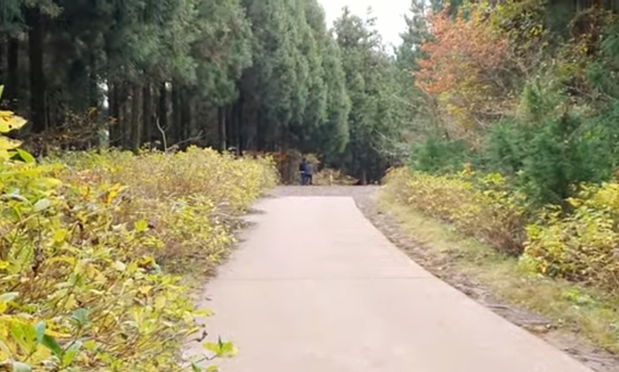 사려니숲길-입구