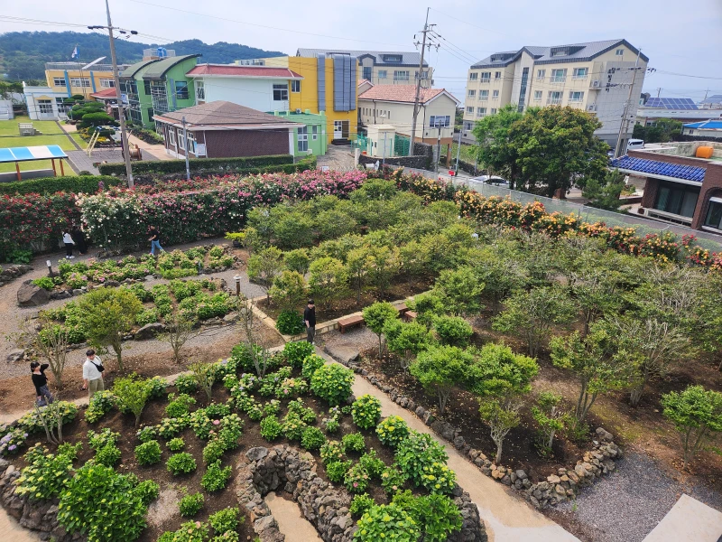 제주-장미축제-북촌에가면-옥상