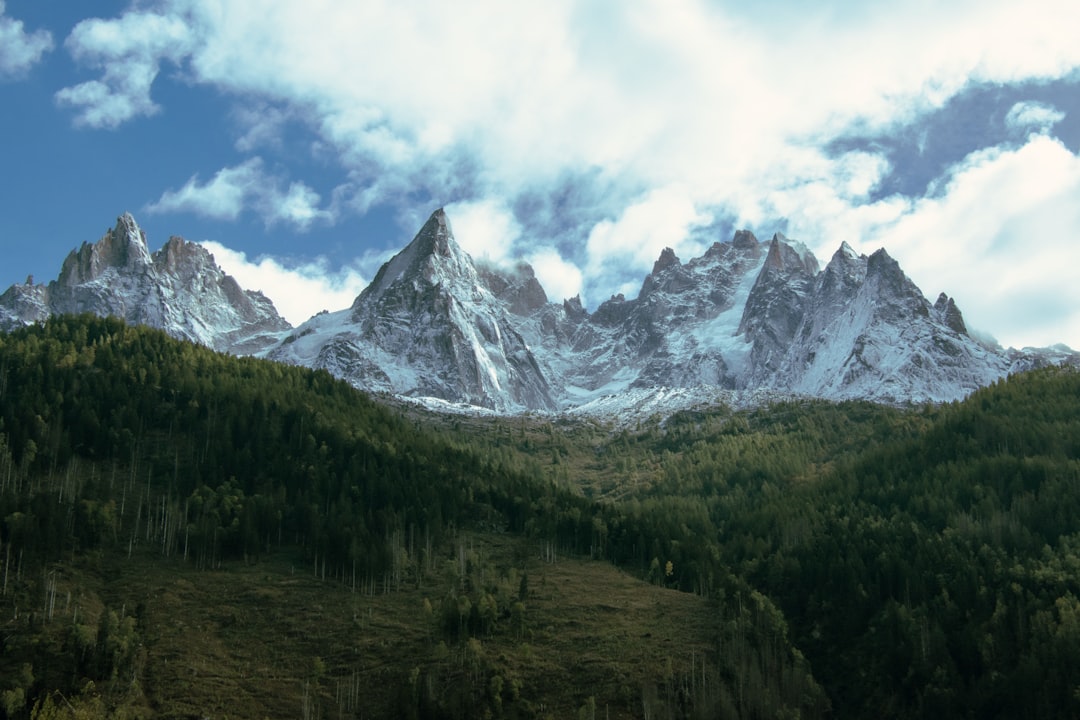 Mont