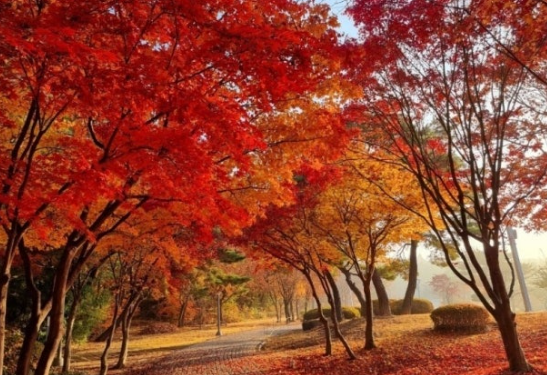 수능 도시락 메뉴 피해야 할 음식