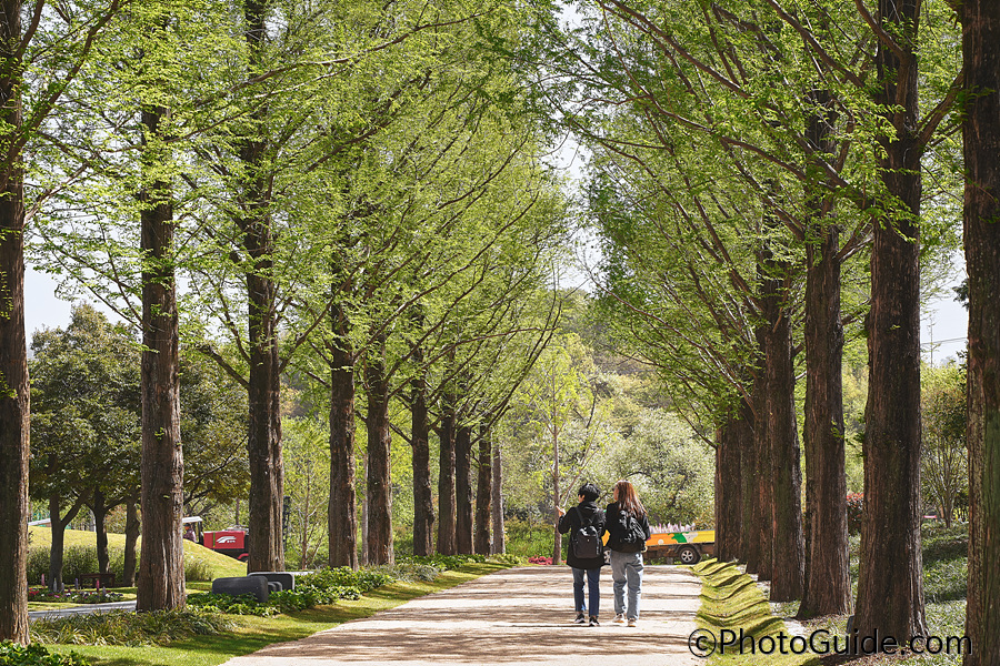 순천만국제정원박람회