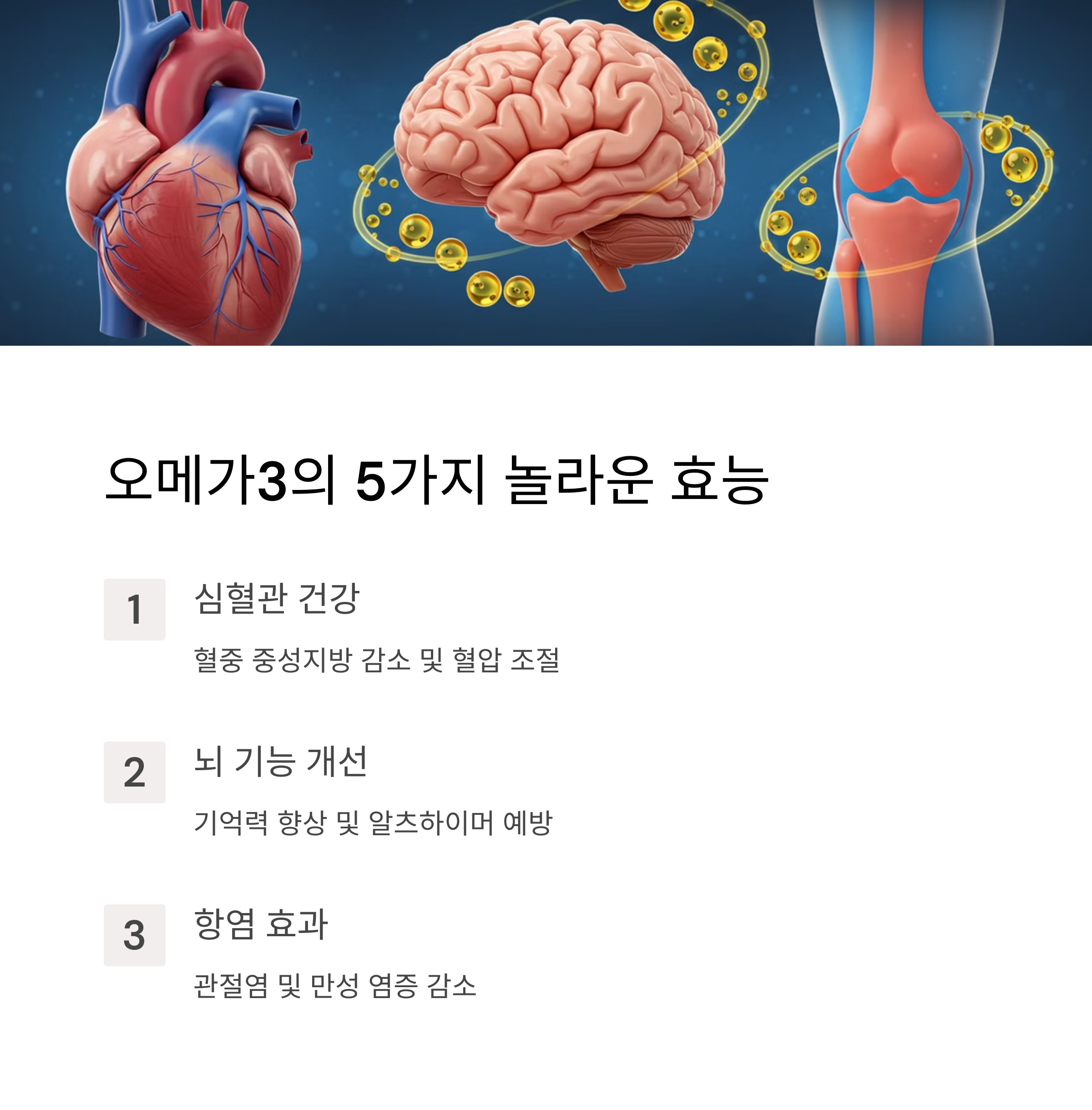 오메가3의 주요 효능 5가지