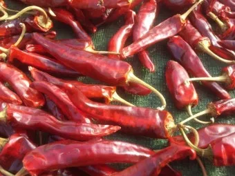 영양 고추 가격 시세 10근가격 현재 농산물 시세_9