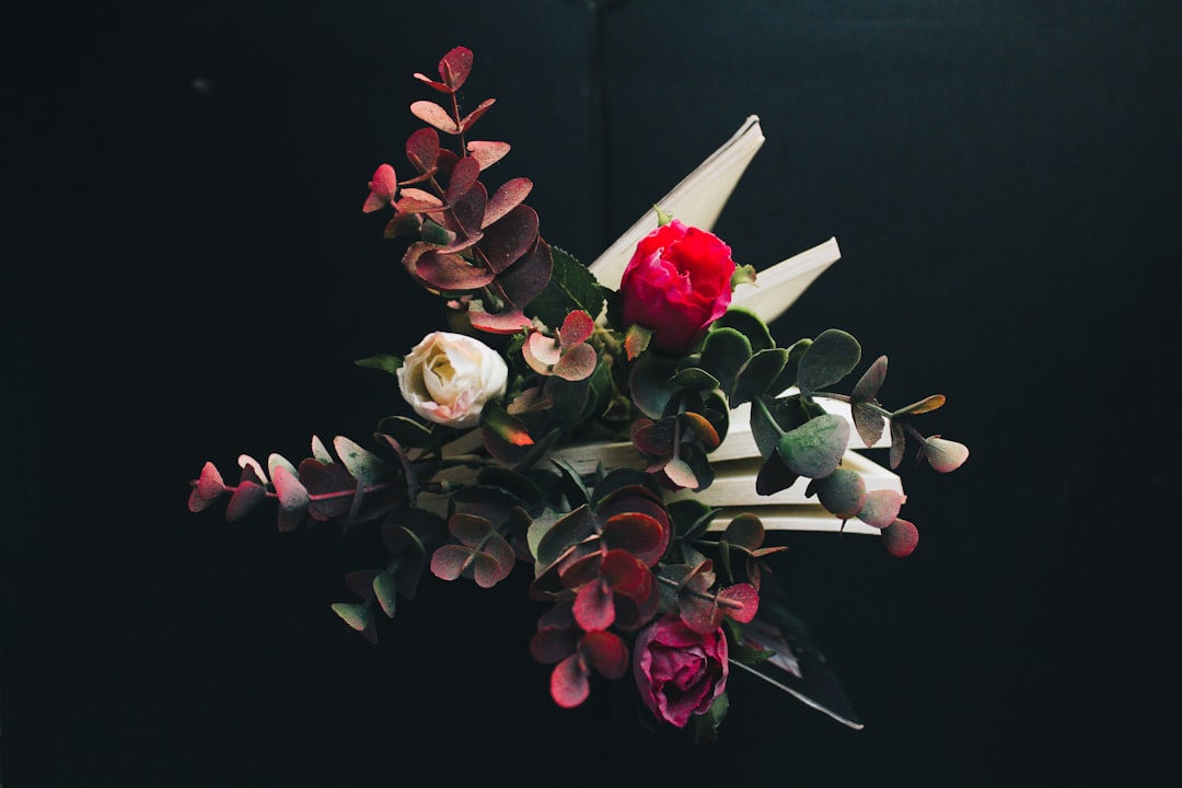 Arrangement