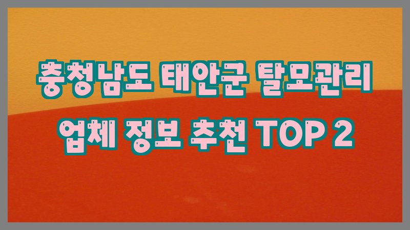 충청남도 태안군 탈모관리