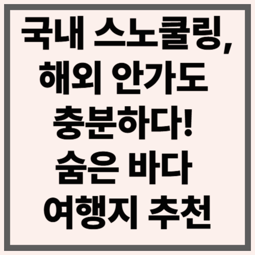 국내 스노쿨링, 해외 안가도 충분하다! 숨은 바다 여행지 추천
