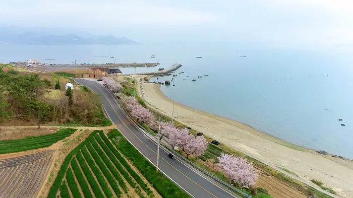 전남 보성 해안도로