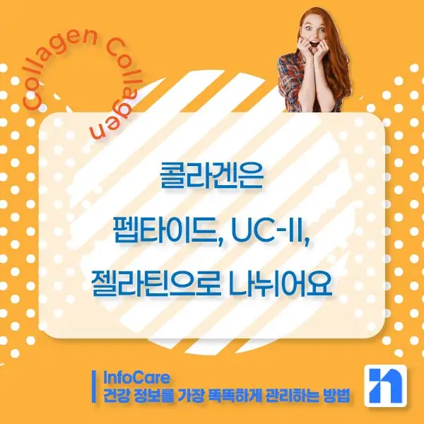 콜라겐의 효능과 복용방법