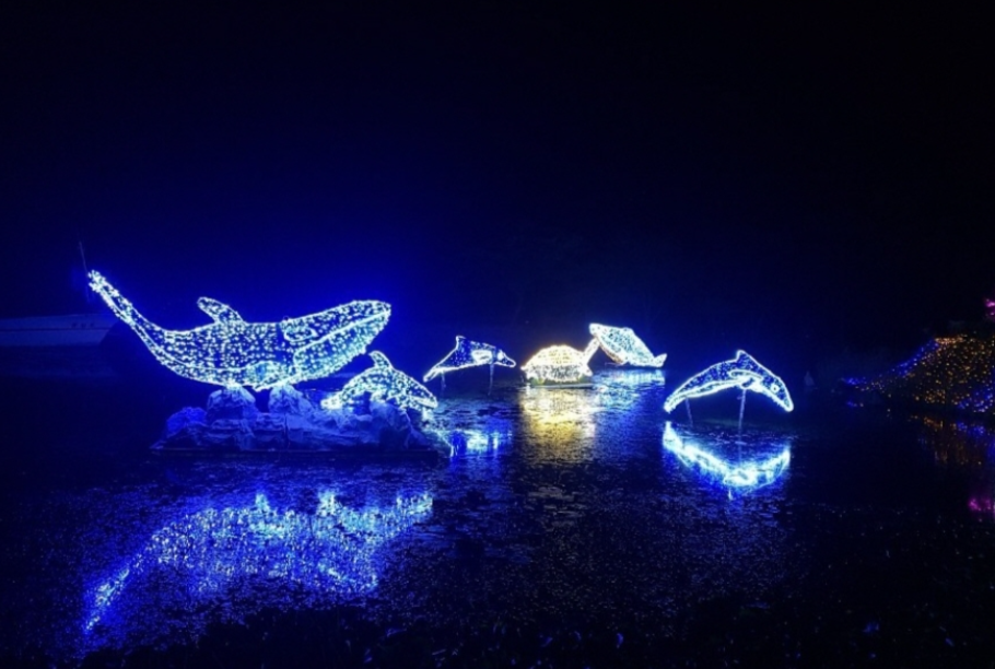 365일 빛나는 태안의 명소, 태안빛축제, 신청방법, 요금, 장소