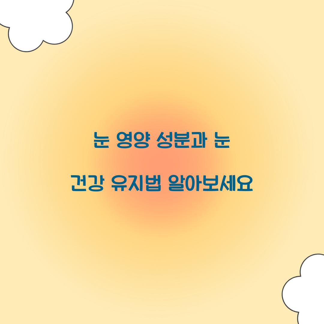 눈 영양 성분