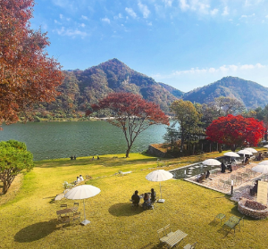 경기도 정원 카페