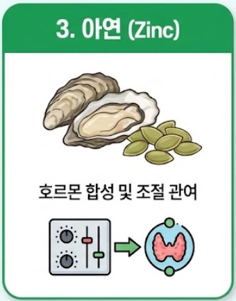 갑상선에 좋은 음식