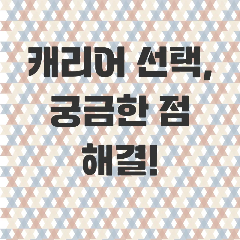 여행용 캐리어 선택_4