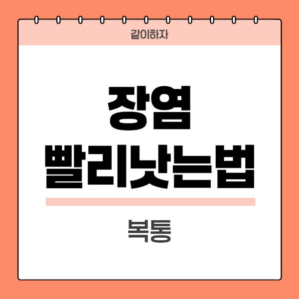 장염빨리낫는법