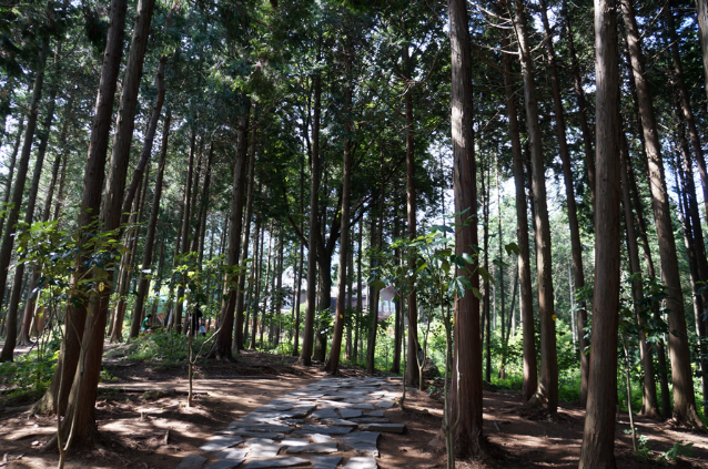 장흥 1인 가구 생활비 상세표 — 현실적인 소비 패턴을 기반으로 한 생활 분석