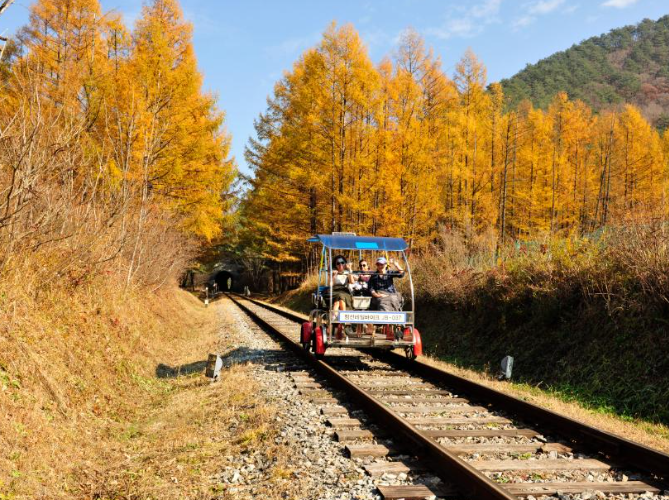 국내 6월 여행지