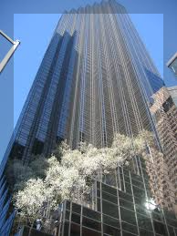 도널드 트럼프: 사업가에서 대통령, 그리고 다시 대선 후보로 돌아오기까지