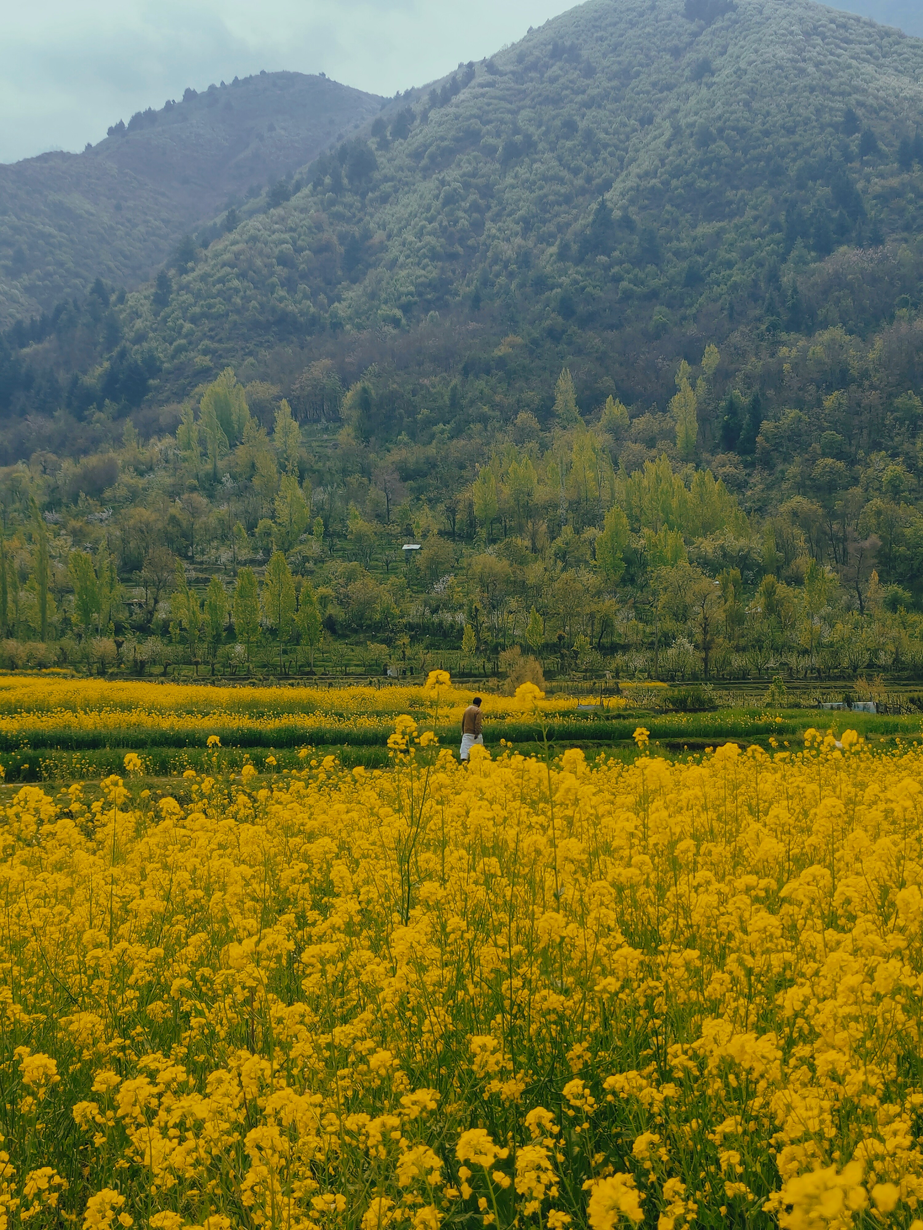 계곡 사진
