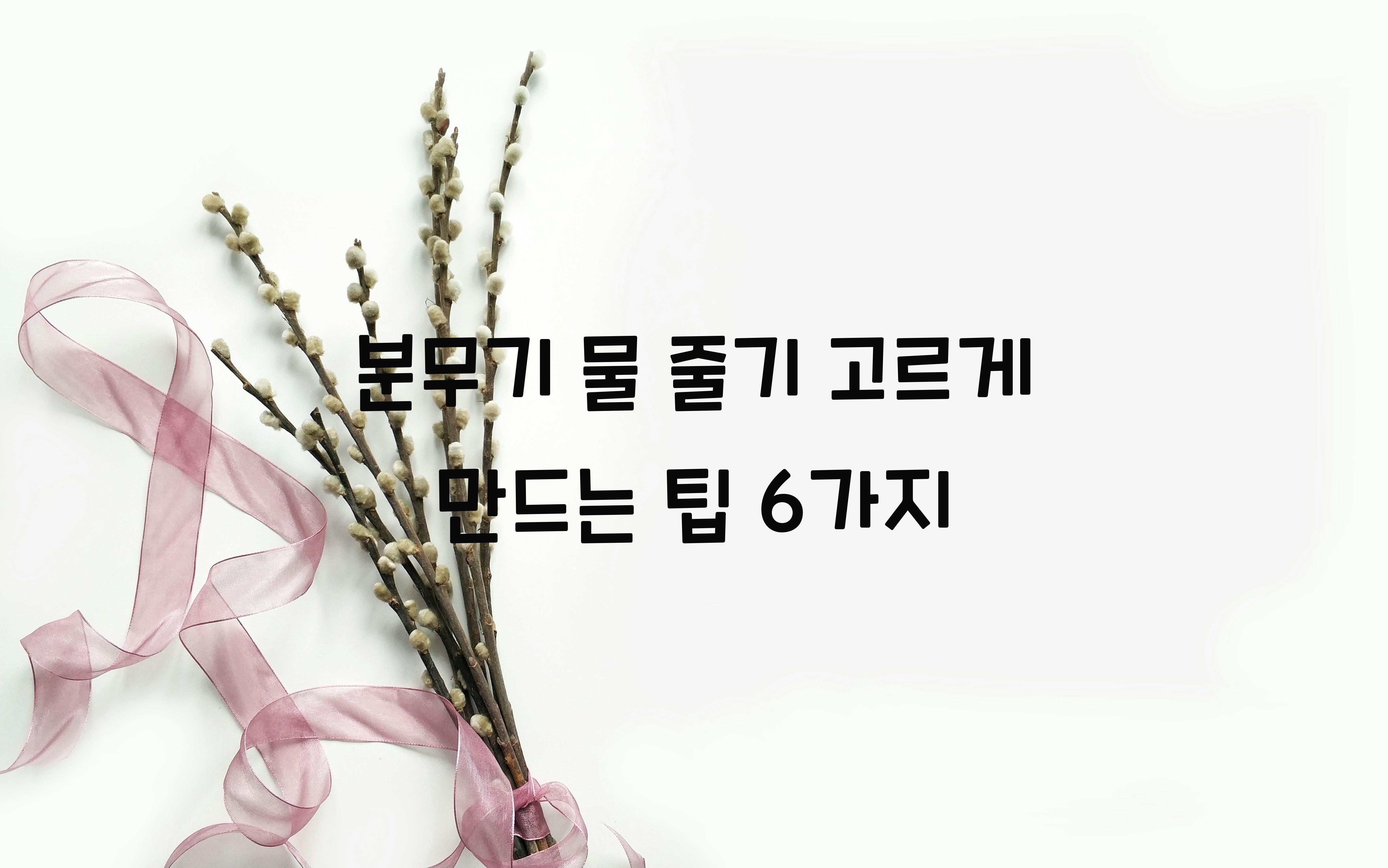 분무기 물 줄기 고르게 만드는 팁