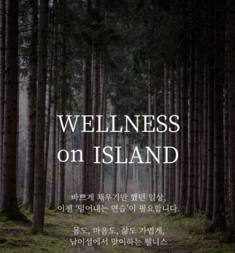 5월 강원도 축제