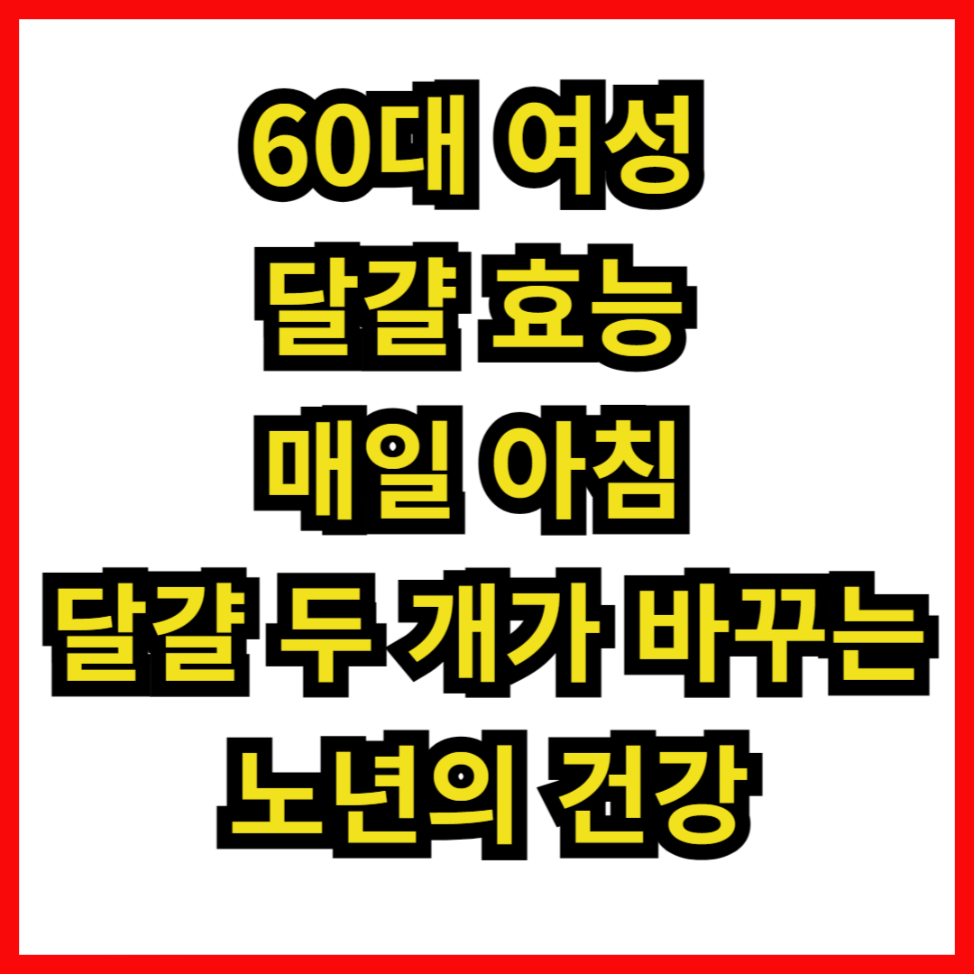 60대 여성 달걀 효능 매일 아침 달걀 두 개가 바꾸는 노년의 건강