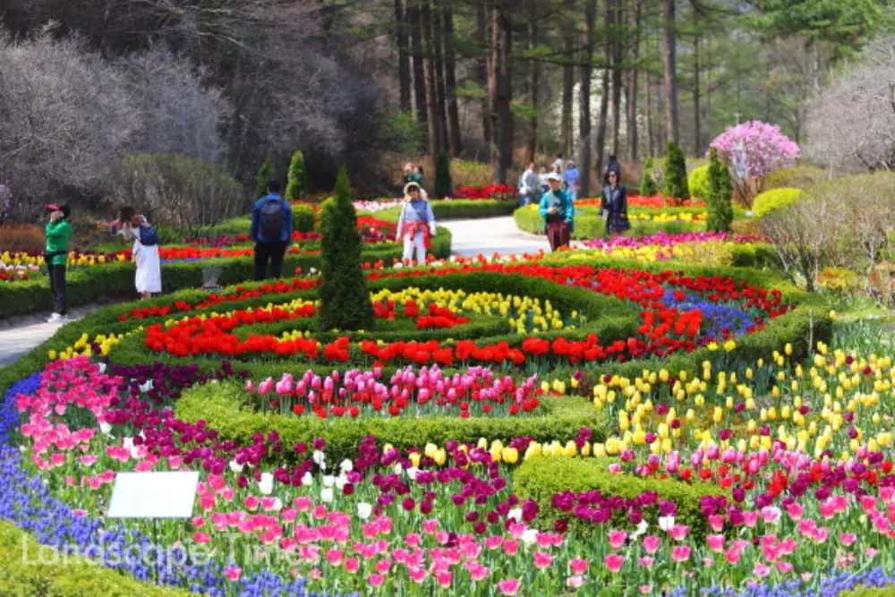가평 아침고요수목원