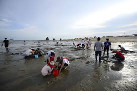 화성 가볼만한곳 - 제부도해수욕장