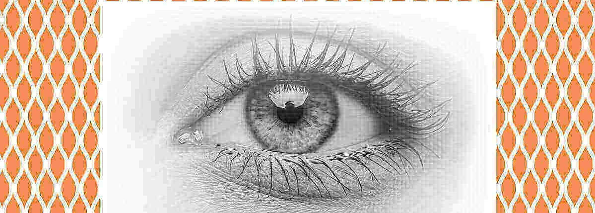 눈건강의 중요성