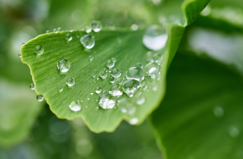 재생 가능 에너지 도입이 기업에 미치는 효과