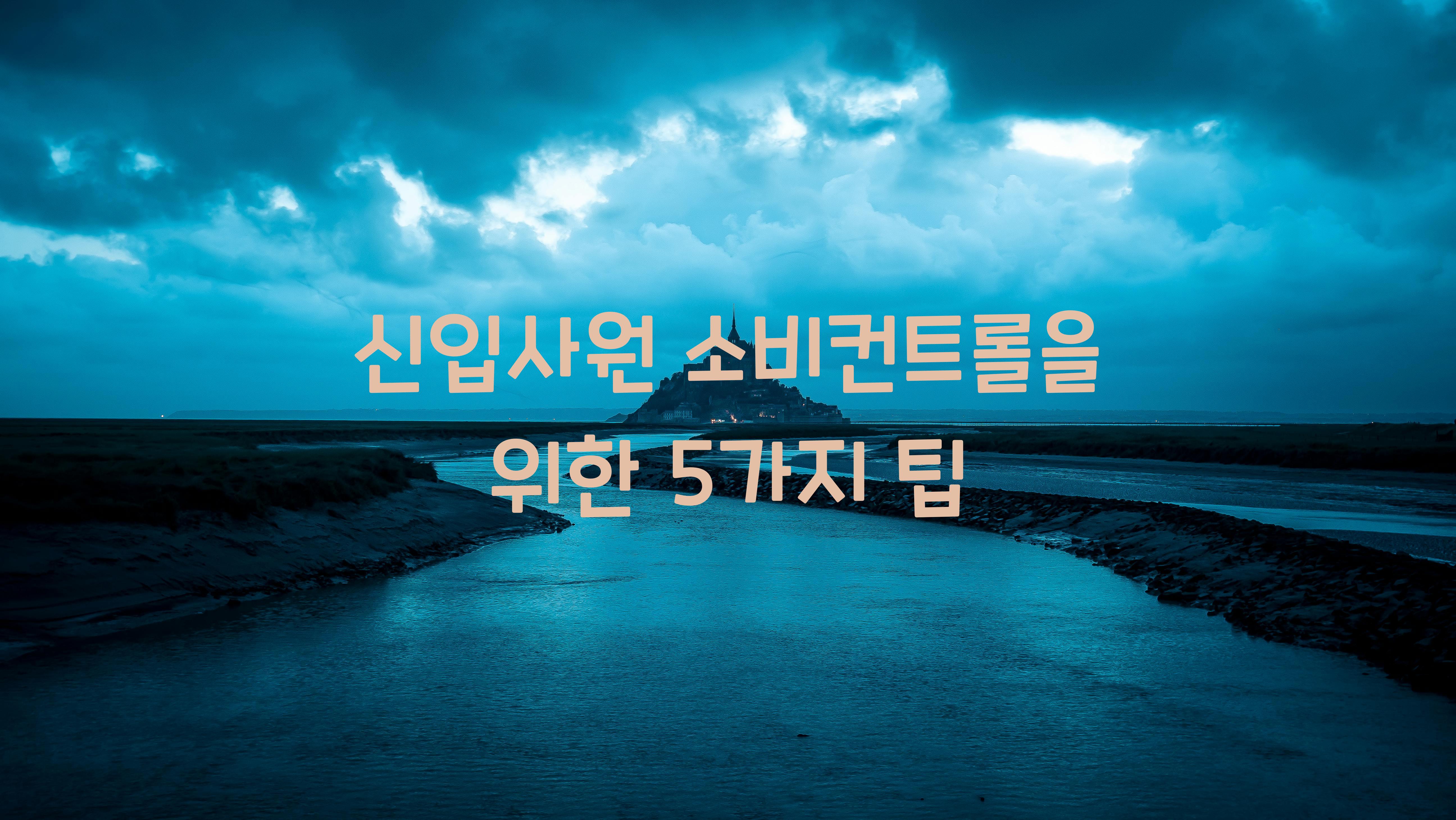 신입사원 소비컨트롤
