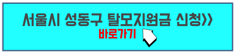 서울 성동구 탈모지원금 신청 홈페이지
