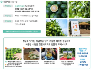 가을에-개최하는-청귤-수확-체험