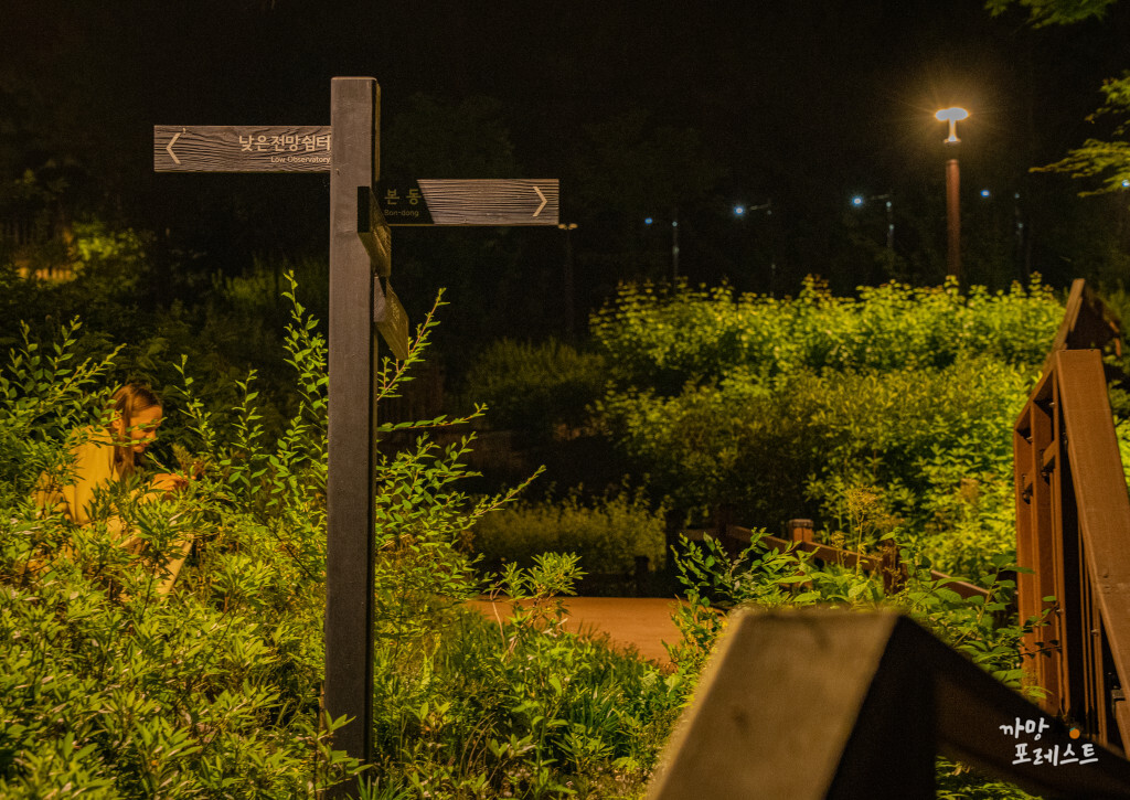 용양봉저정공원 쉼터 가는길